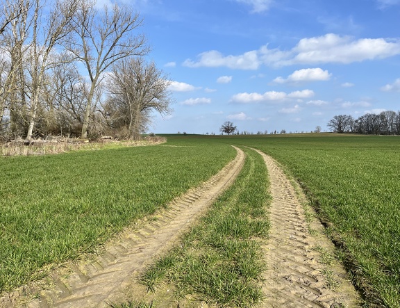 Was ändert sich 2025?